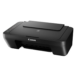 CANON PIXMA MG2555S